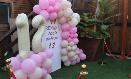 מקום לבת מצווה עם בריכה