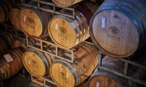 אירועים משפחתיים בצפון