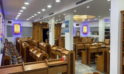 בריתה בבית כנסת