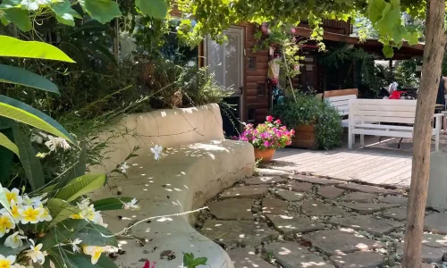 בת מצווה עד 100 איש