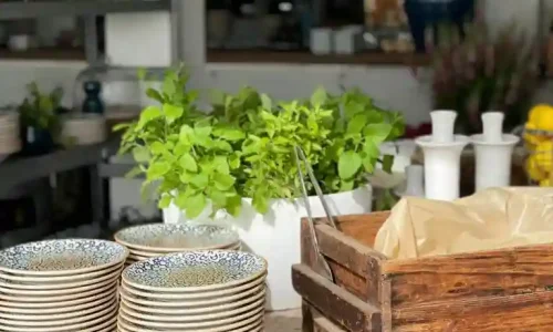 חתונה אינטימית במסעדה ביפו