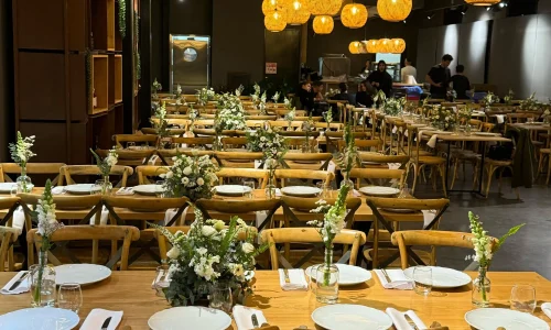 מסיבת ברית בצפון