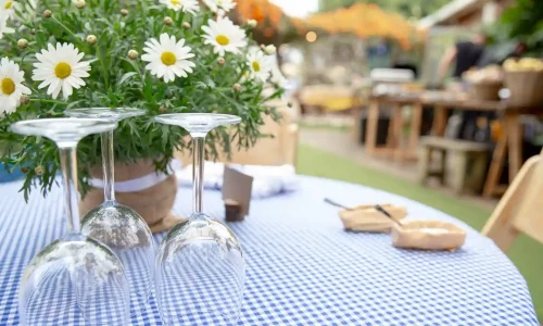 מסיבת רווקות קסומה