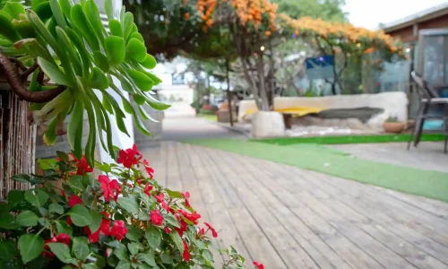 מקום לאירועים קטנים במרכז