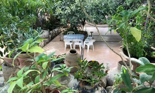 בר מצווה בירושלים