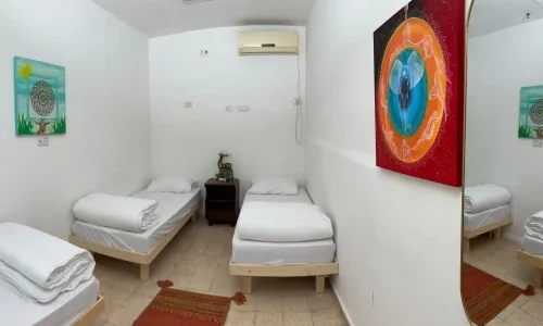 חינה במתחם בצפון