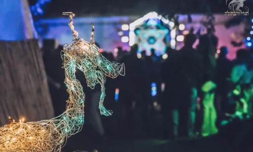 ימי הולדת במתחם אירועים בצפון