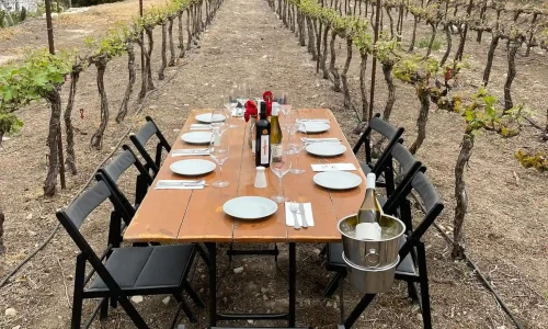 אירוע עסקי עד 150 איש ביקב קדמא