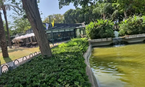 אירועי בוטיק על האגם