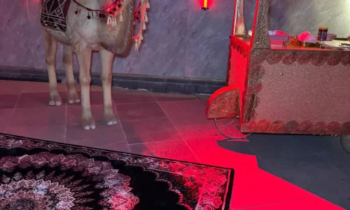 אירועי חינה בבאר שבע