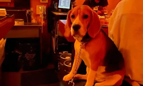 בר למסיבות פרטיות בתל אביב