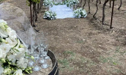 יקב קדמא לאירועי בוטיק