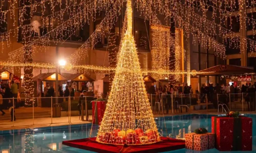 אירועי קוקטייל בצפון