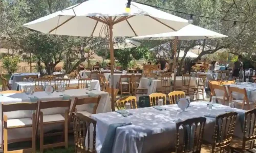 הפקות אירועים בטבע עד 250 איש