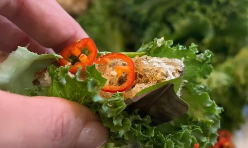 ימי הולדת במסעדה בצפון