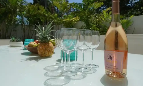 מסיבת רווקות בוילה במרכז