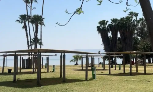 שבת חתן בכנרת