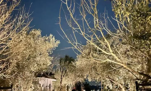 אירוע בטבע קסום