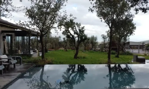 אירוע עם בריכה בצפון