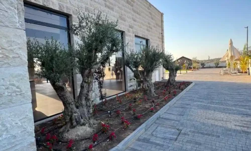 מקום לאירועים בטבע בירושלים