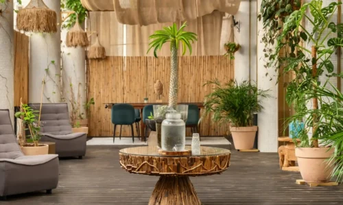 מקומות לאירועים כולל לינה