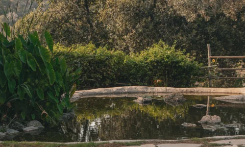 מקום לאירוע בטבע בכרמל