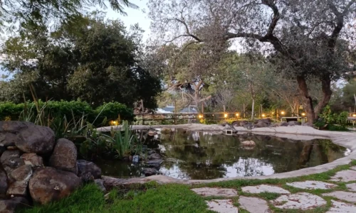 מקומות עם בריכה לאירוע חברה