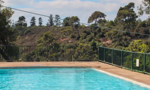 מקום עם בריכה ליום גיבוש