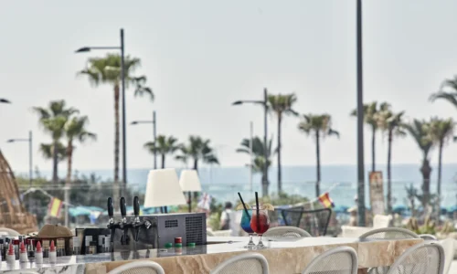 אירוע משפחתי באיה נאפה