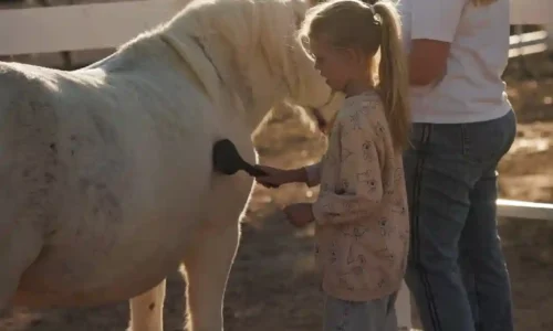 מקום למסיבת חתונה קטנה בקפריסין