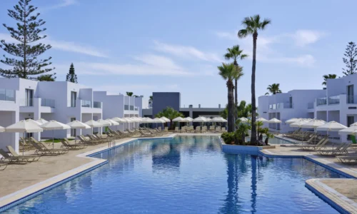 חתונה אזרחית באיה נאפה