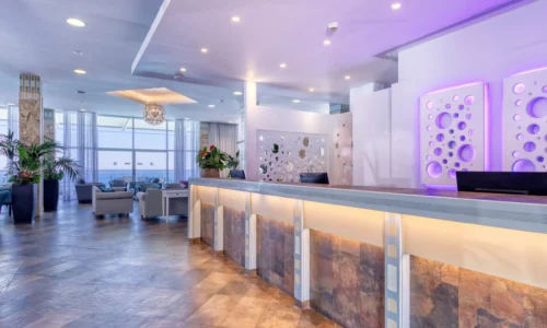 חתונה יוקרתית באיה נאפה