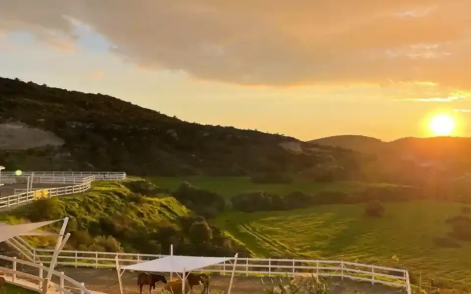 מקום מיוחד לחתונה בלימסול