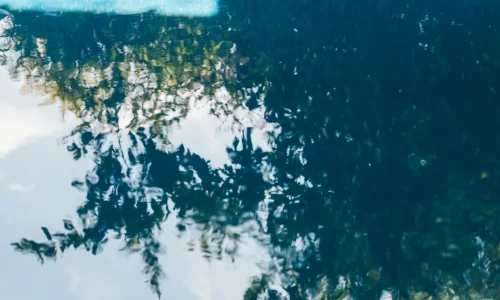 מתחם וולנס לאירועי חברה