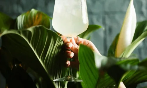 מקום לאירועי חברה בנתניה