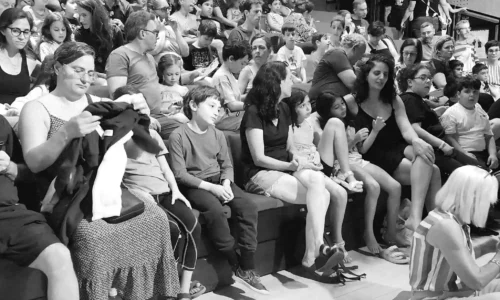 תיאטרון אלמינא לכנסים