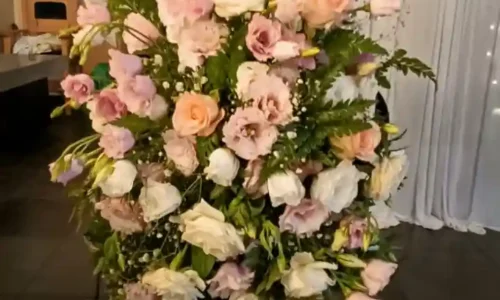 חינה באשדוד