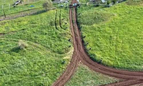 מקום למסיבות טבע