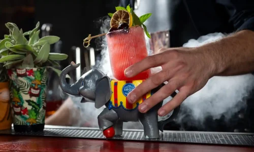 מקומות לבת מצווה בנס ציונה