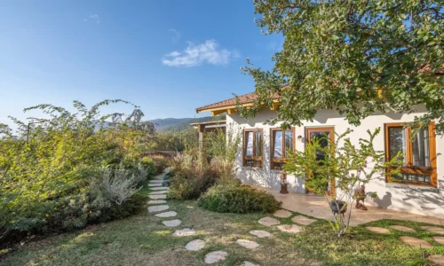 מסיבות רווקות בצפון