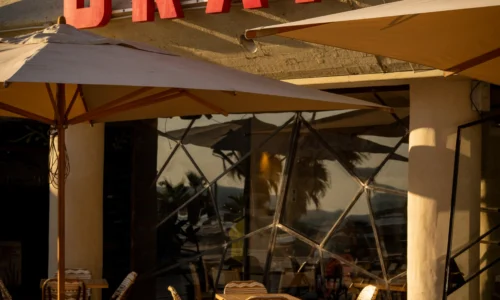 מסעדה חלבית כשרה לברית בתל אביב