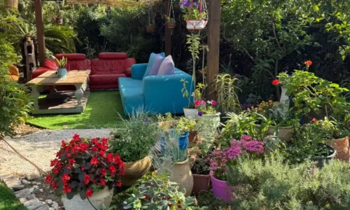 וילה דניאלה לאירועים קיסריה