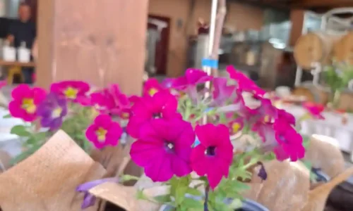 יקב סומק לאירוע בוטיק