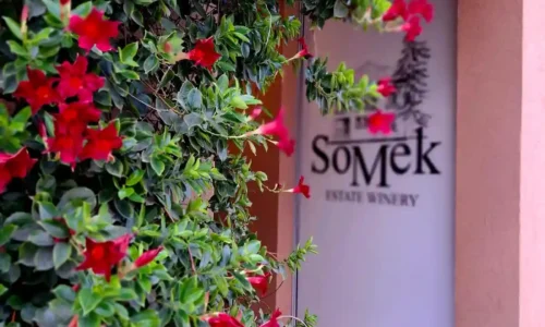 יקב סומק לברית