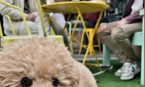 יקב סומק ליום הולדת עגול