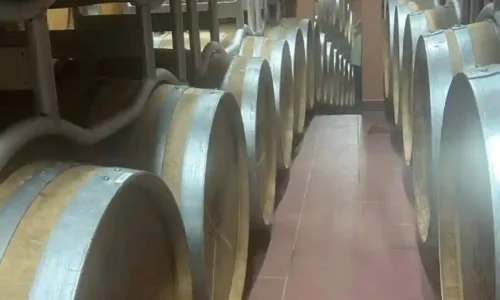 יקב סומק זכרון יעקב לימי הולדת עגולים