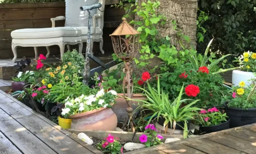 מקם מיוחד למפגש משפחתי