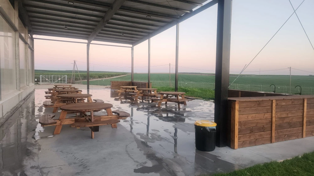 הדריס אירועים בטבע