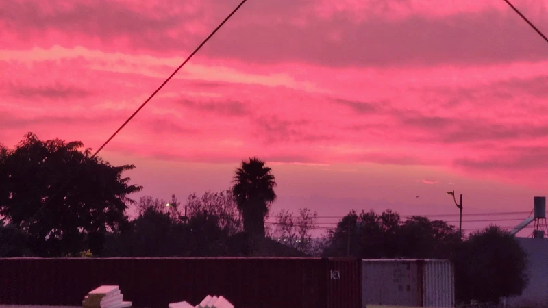 הדריס בת מצווה בטבע בדרום