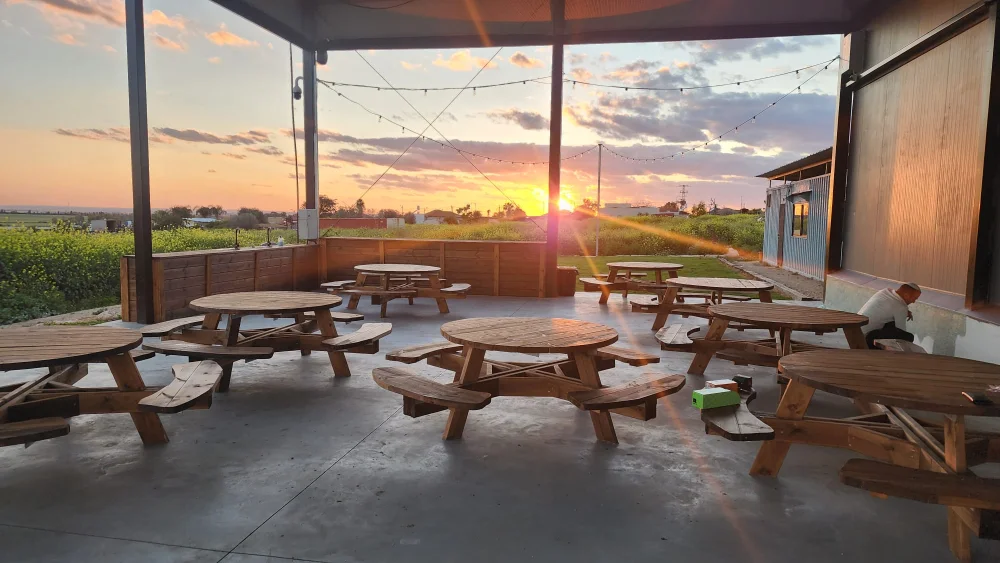 הדריס ימי הולדת בטבע בדרום